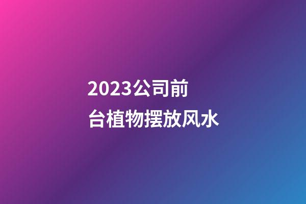 2023公司前台植物摆放风水