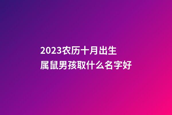 2023农历十月出生属鼠男孩取什么名字好