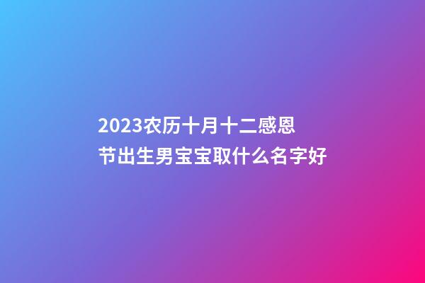 2023农历十月十二感恩节出生男宝宝取什么名字好