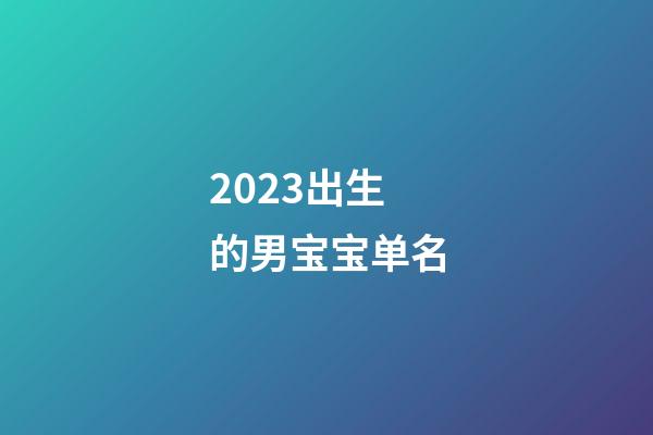 2023出生的男宝宝单名