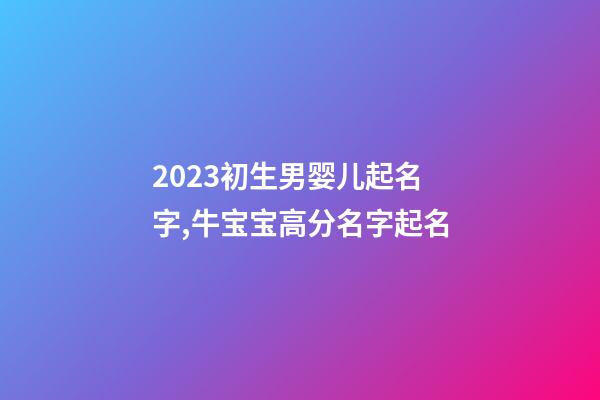2023初生男婴儿起名字,牛宝宝高分名字起名