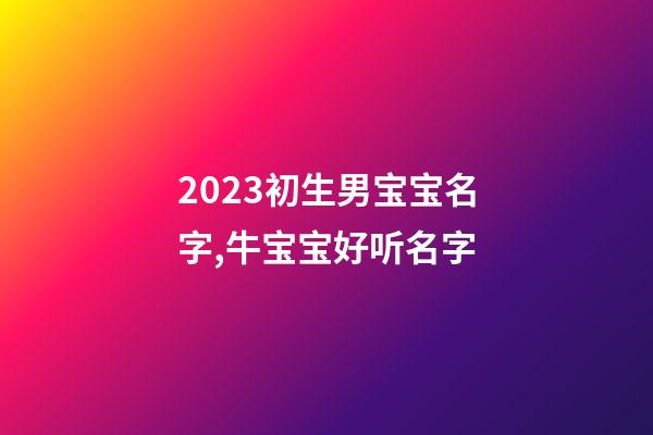 2023初生男宝宝名字,牛宝宝好听名字