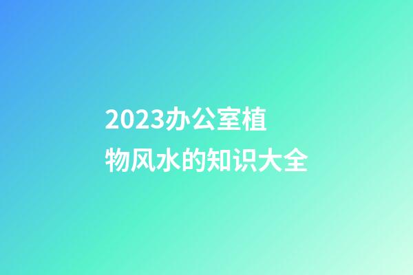 2023办公室植物风水的知识大全