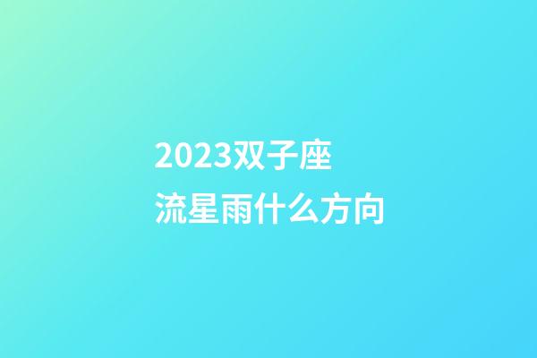 2023双子座流星雨什么方向-第1张-星座运势-玄机派