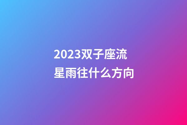 2023双子座流星雨往什么方向-第1张-星座运势-玄机派