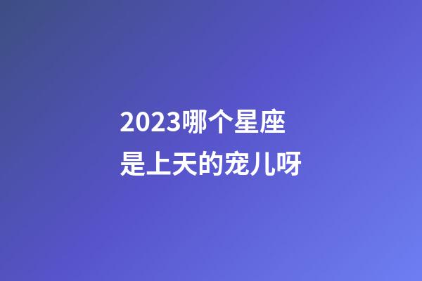 2023哪个星座是上天的宠儿呀