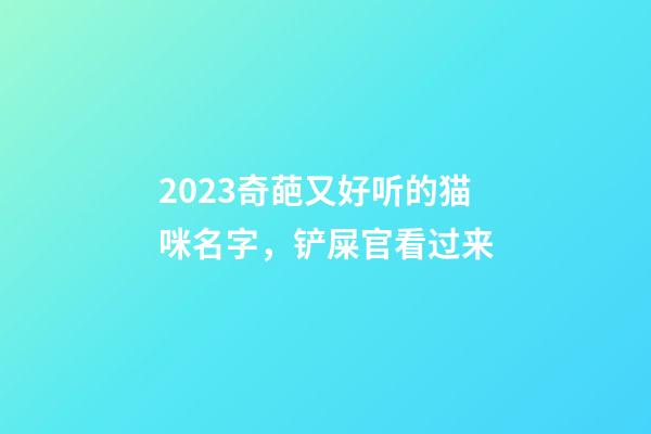 2023奇葩又好听的猫咪名字，铲屎官看过来