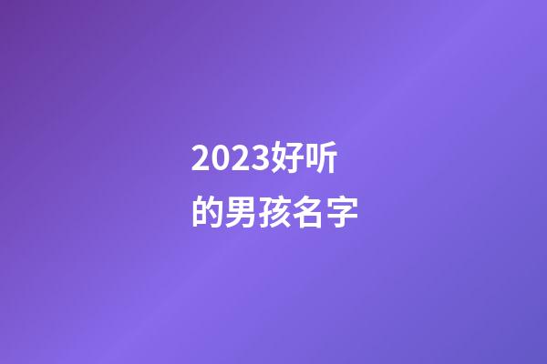 2023好听的男孩名字