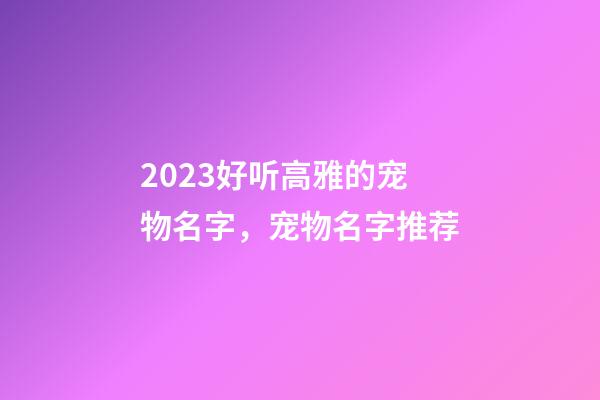 2023好听高雅的宠物名字，宠物名字推荐