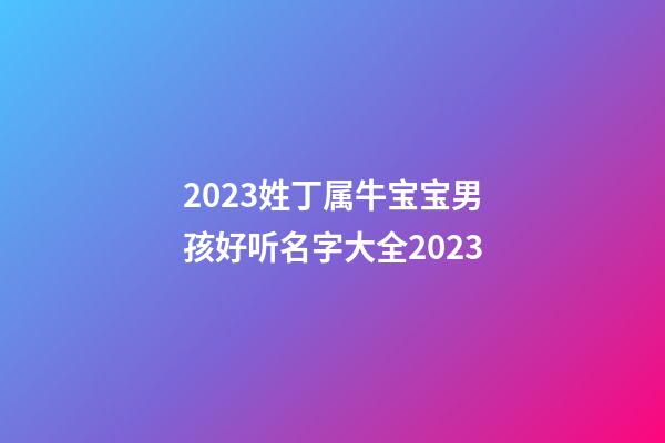 2023姓丁属牛宝宝男孩好听名字大全2023