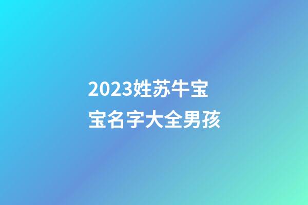 2023姓苏牛宝宝名字大全男孩