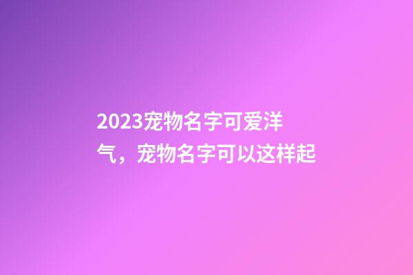 2023宠物名字可爱洋气，宠物名字可以这样起