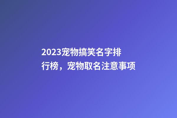 2023宠物搞笑名字排行榜，宠物取名注意事项