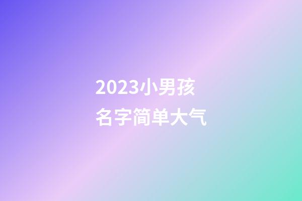 2023小男孩名字简单大气