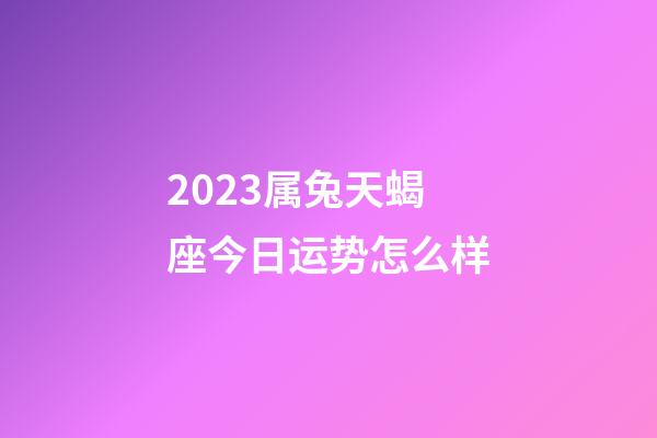 2023属兔天蝎座今日运势怎么样-第1张-星座运势-玄机派