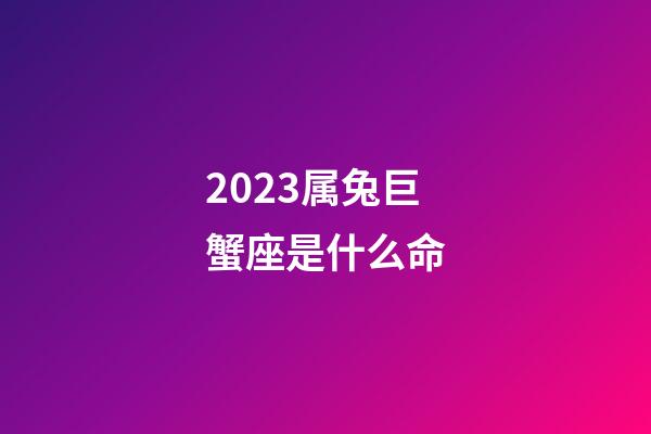 2023属兔巨蟹座是什么命-第1张-星座运势-玄机派