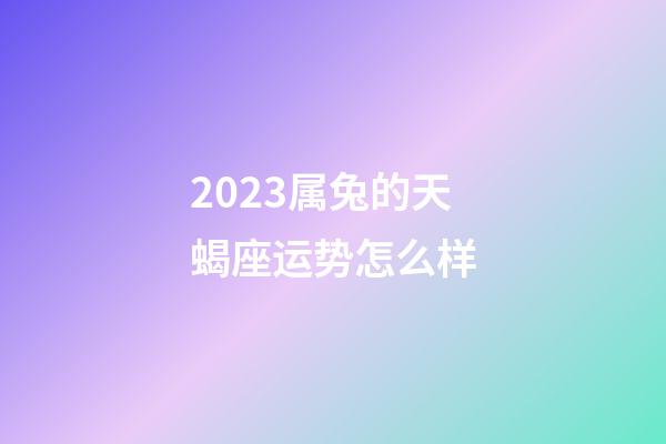 2023属兔的天蝎座运势怎么样-第1张-星座运势-玄机派