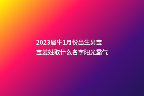 2023属牛1月份出生男宝宝姜姓取什么名字阳光霸气