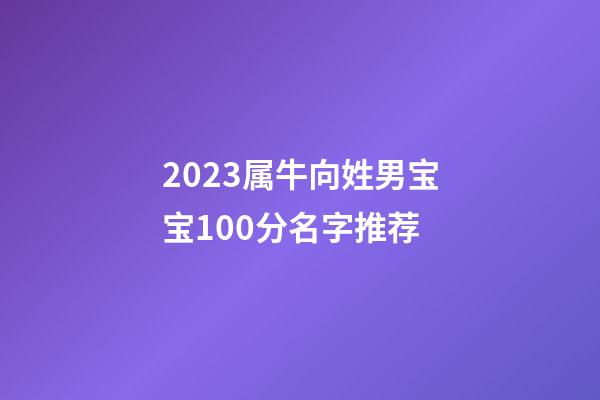 2023属牛向姓男宝宝100分名字推荐