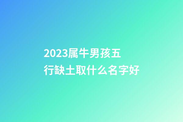 2023属牛男孩五行缺土取什么名字好
