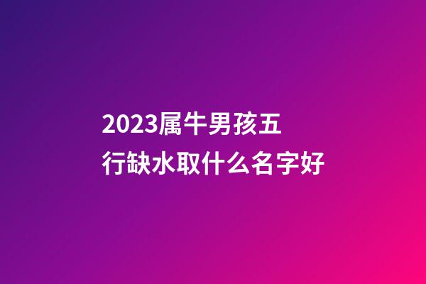 2023属牛男孩五行缺水取什么名字好