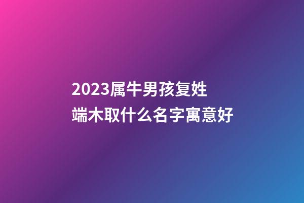 2023属牛男孩复姓端木取什么名字寓意好