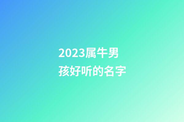 2023属牛男孩好听的名字