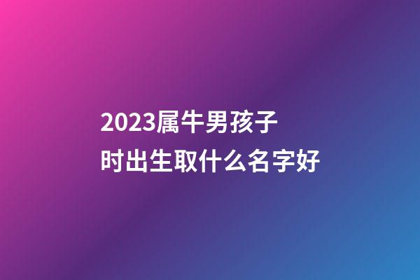 2023属牛男孩子时出生取什么名字好