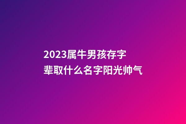 2023属牛男孩存字辈取什么名字阳光帅气