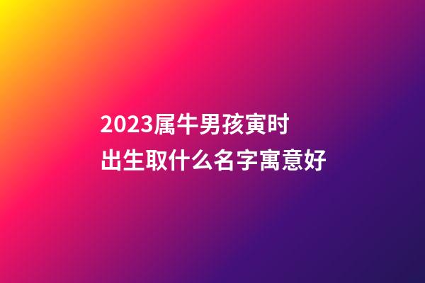 2023属牛男孩寅时出生取什么名字寓意好