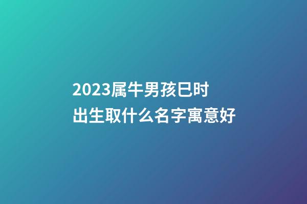 2023属牛男孩巳时出生取什么名字寓意好