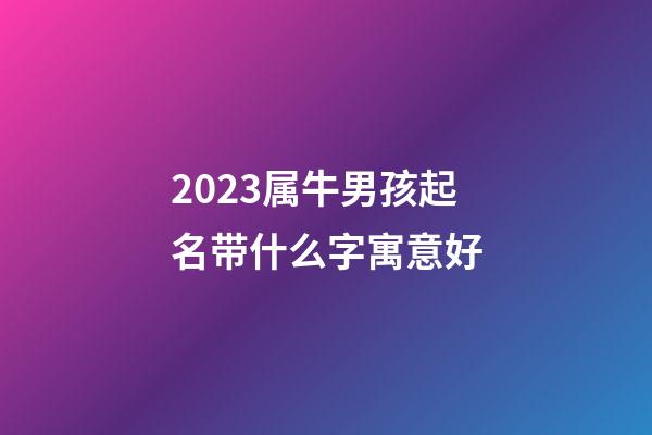 2023属牛男孩起名带什么字寓意好
