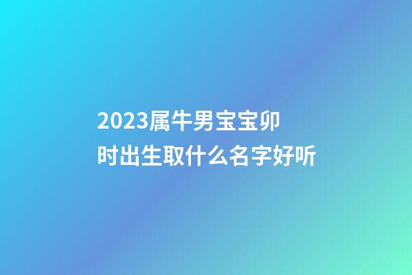 2023属牛男宝宝卯时出生取什么名字好听