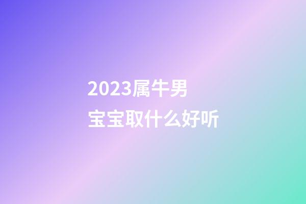 2023属牛男宝宝取什么好听