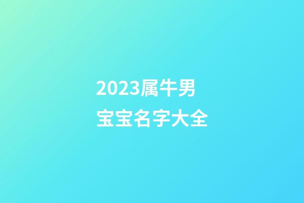 2023属牛男宝宝名字大全