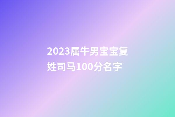 2023属牛男宝宝复姓司马100分名字