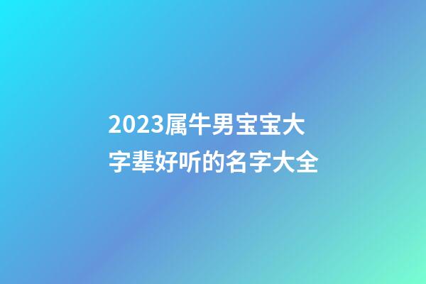 2023属牛男宝宝大字辈好听的名字大全
