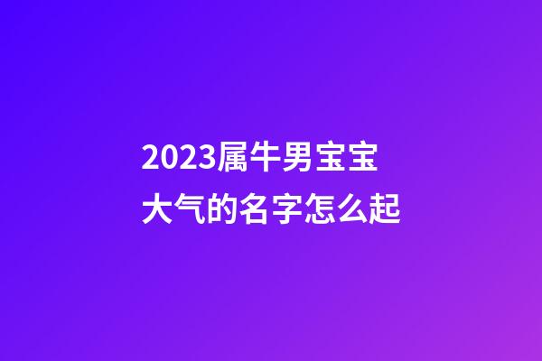 2023属牛男宝宝大气的名字怎么起