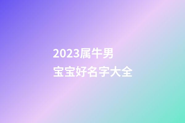 2023属牛男宝宝好名字大全
