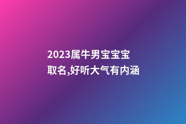 2023属牛男宝宝宝取名,好听大气有内涵