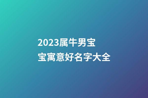 2023属牛男宝宝寓意好名字大全