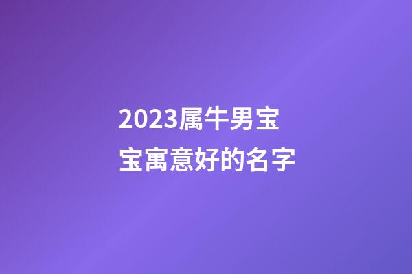 2023属牛男宝宝寓意好的名字