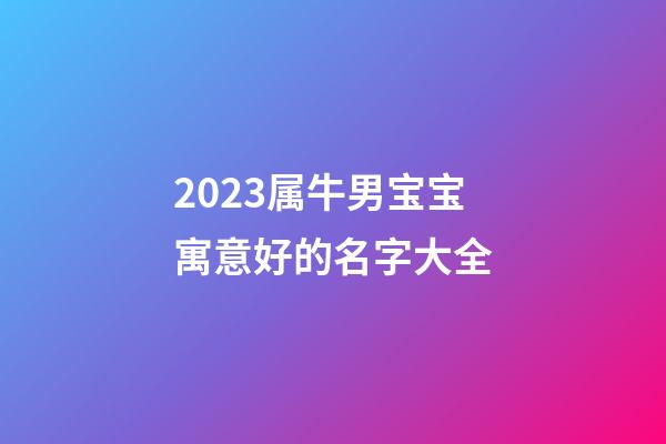 2023属牛男宝宝寓意好的名字大全