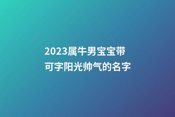 2023属牛男宝宝带可字阳光帅气的名字