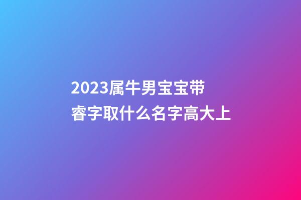 2023属牛男宝宝带睿字取什么名字高大上