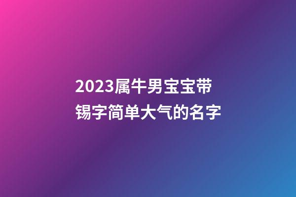 2023属牛男宝宝带锡字简单大气的名字