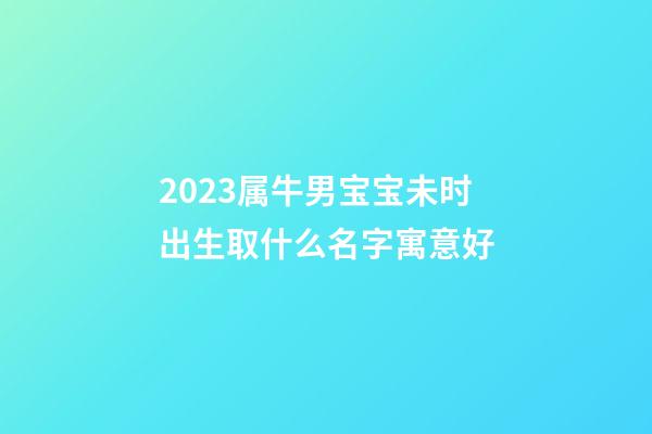 2023属牛男宝宝未时出生取什么名字寓意好