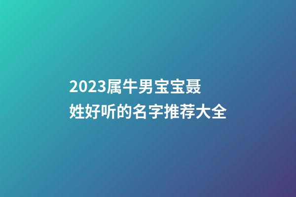 2023属牛男宝宝聂姓好听的名字推荐大全