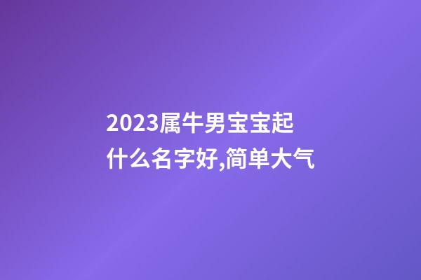 2023属牛男宝宝起什么名字好,简单大气