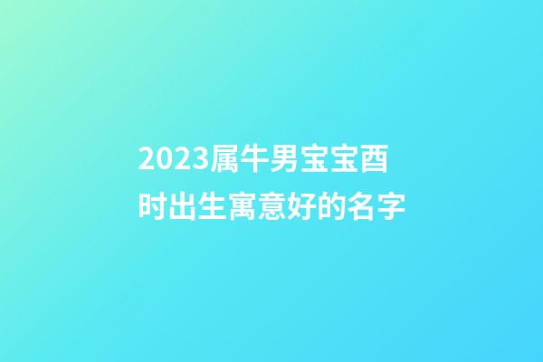 2023属牛男宝宝酉时出生寓意好的名字